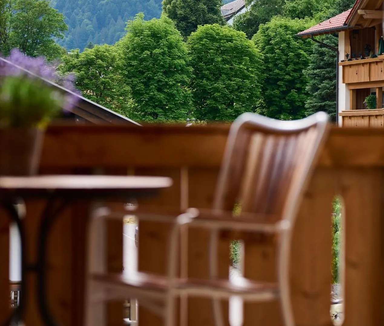 Apartment Alpenseensucht Natur Ferienapparte Bad Wiessee